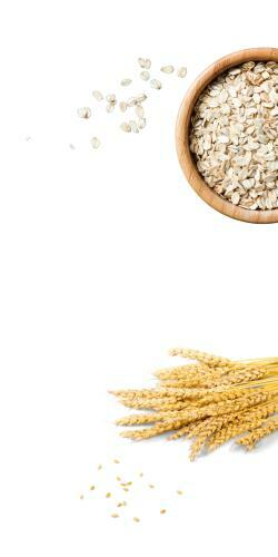 Oats | Oatmeal | Wheat | Grain | Natural ingredients | Handmade |  Natural Oatmeal Milk & Honey Soap